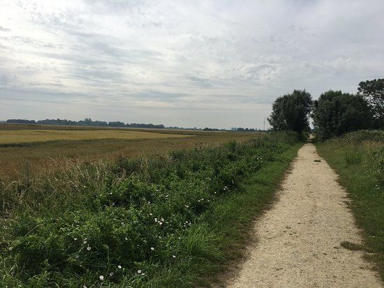 Ring's End Local Nature Reserve